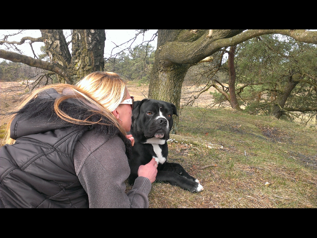 Mijn liefdes...