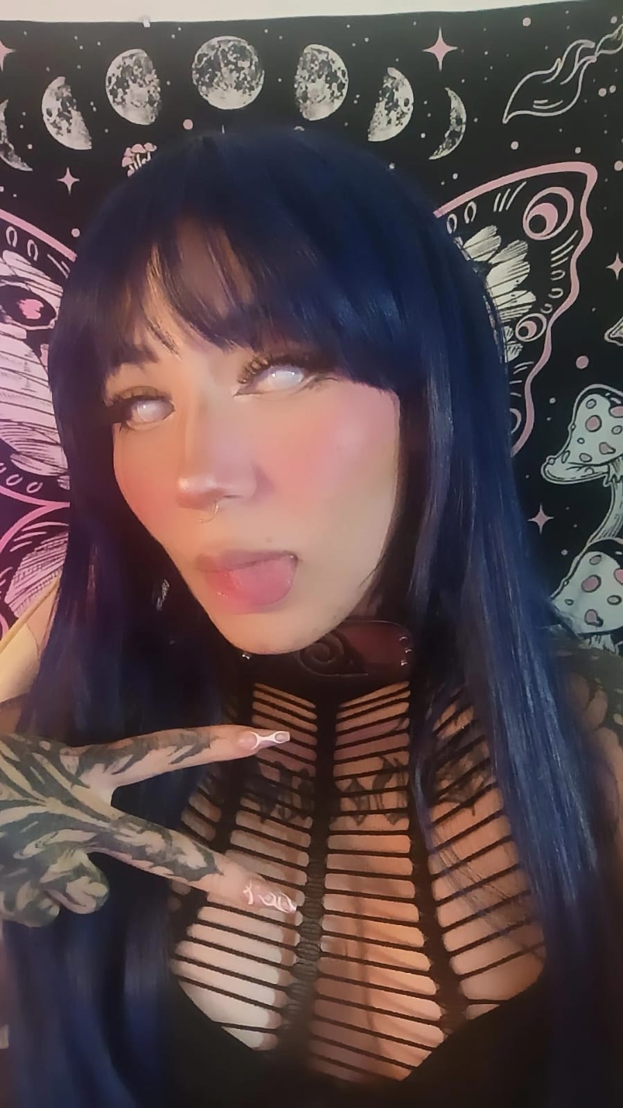 holi